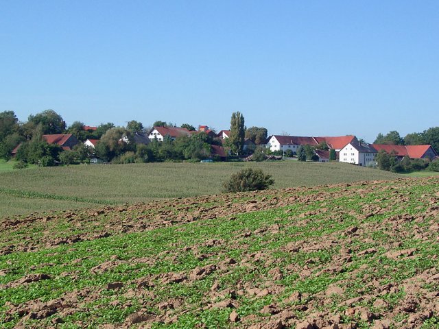 pfeffendorf pfeffendorf